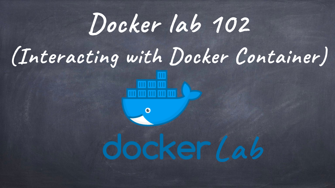 Dockerlab 102 Interacting with Docker Container